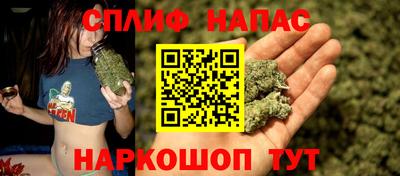 гашик Бузулук