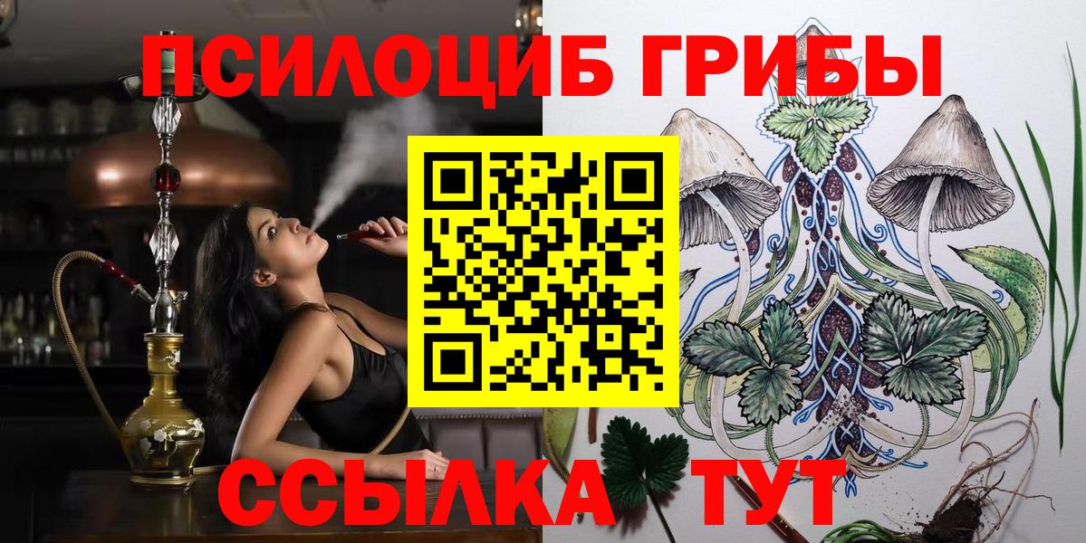 Псилоцибиновые грибы Cubensis Минусинск