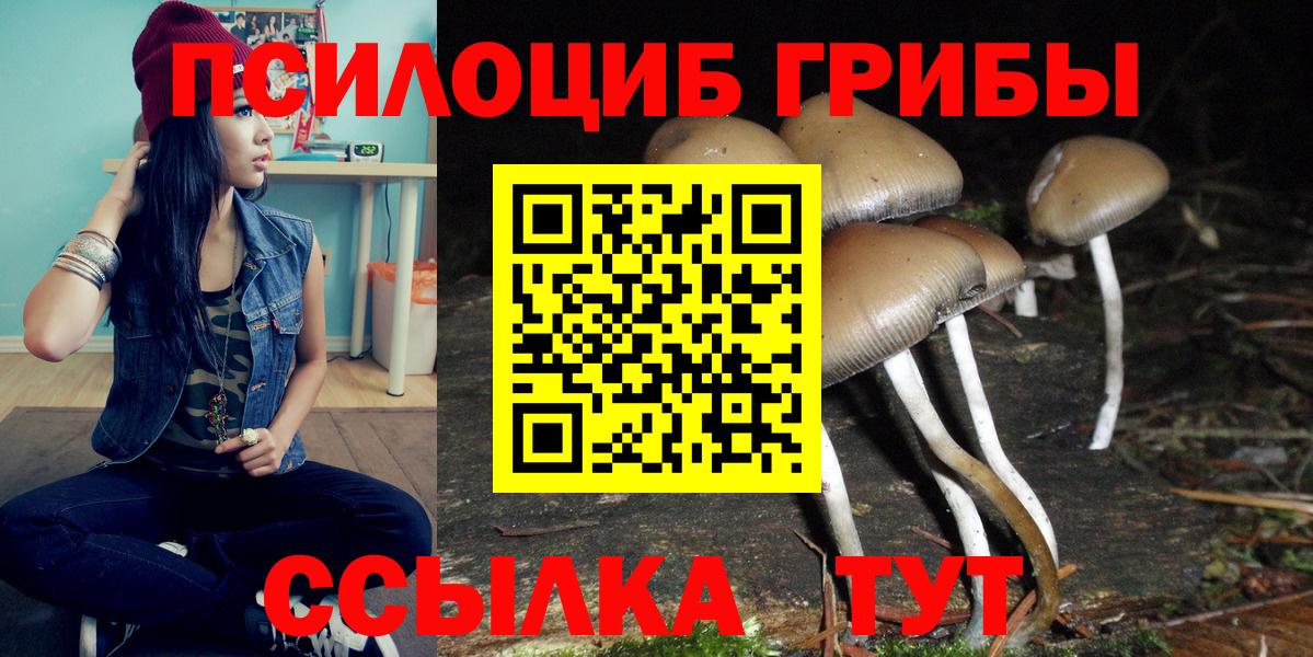 сколько стоит  Псилоцибиновые грибы мухоморы  Вход с VPN  Галлюциногенные грибы мухоморы  Минусинск 